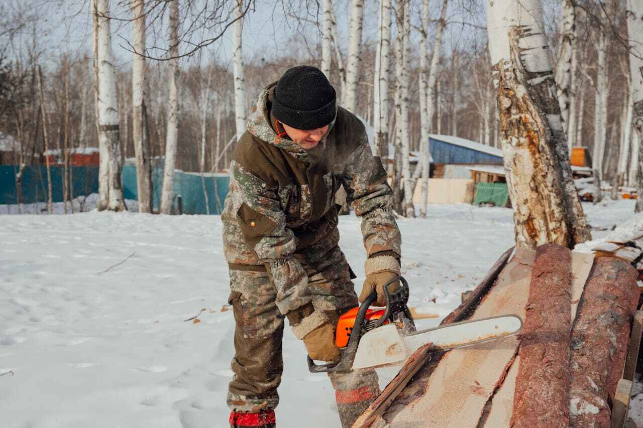 Residential Tree Removal in Castle Pines Village, CO